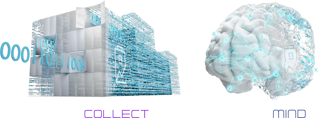 Batalyse Collect and Mind logos